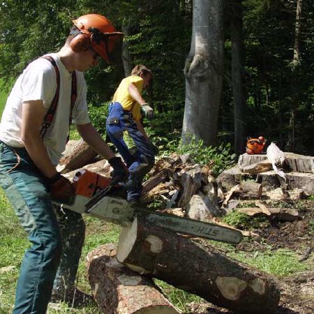 holzfaellerbuam_1.jpg