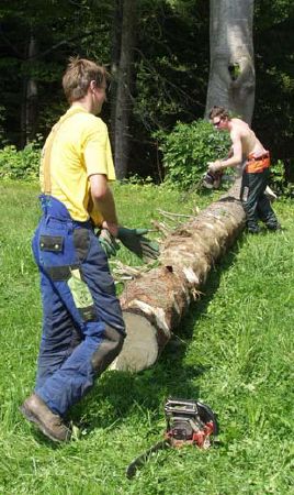 holzfaellerbuam_2.jpg
